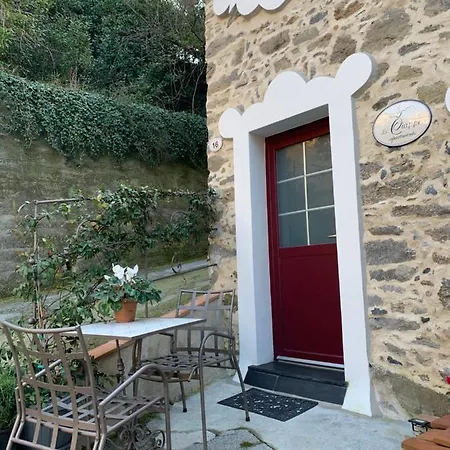 Le Ciappe Castelbianco Terra Citr 9020-beb-0003 3* Colletta